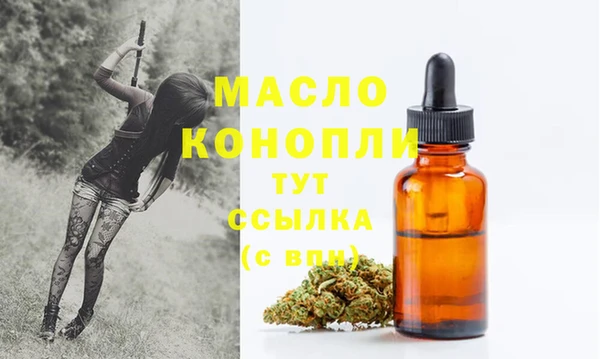 дживик Верхний Тагил