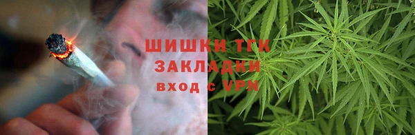 дживик Верхний Тагил