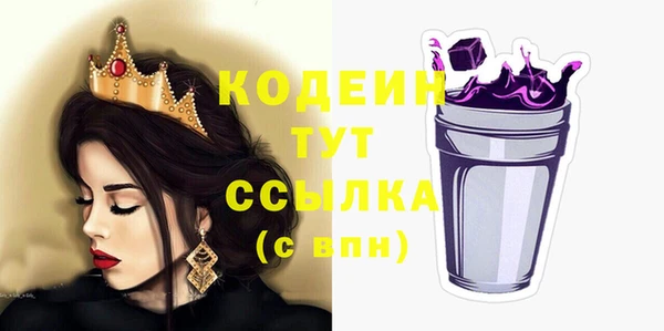 дживик Верхний Тагил