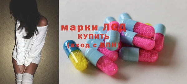 дживик Верхний Тагил