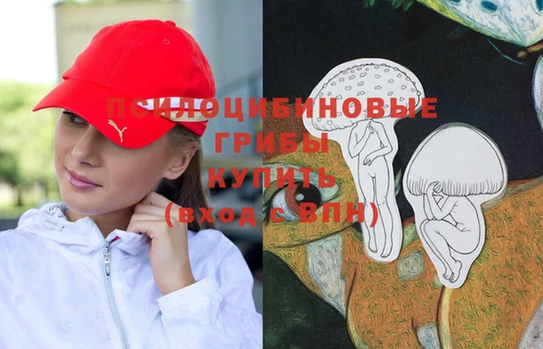 дживик Верхний Тагил