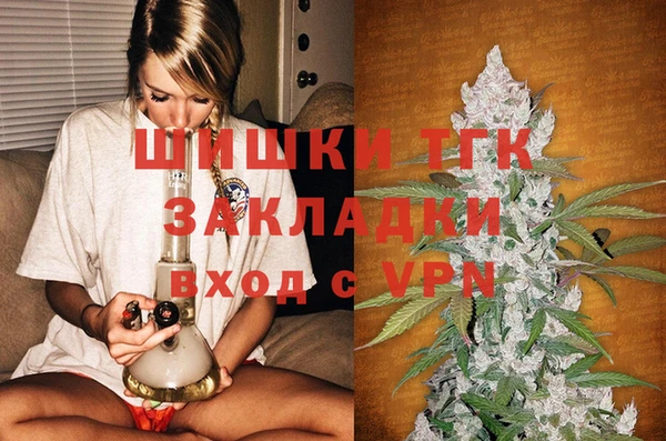 дживик Верхний Тагил