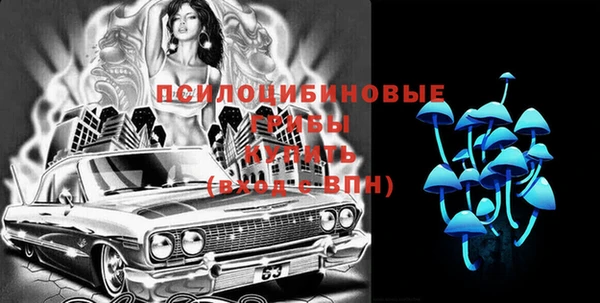 дживик Верхний Тагил