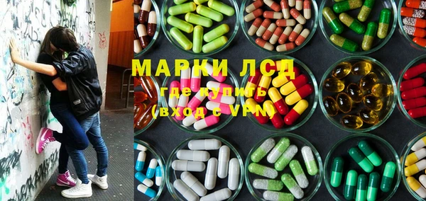 дживик Касимов