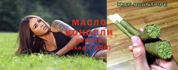дживик Верхний Тагил
