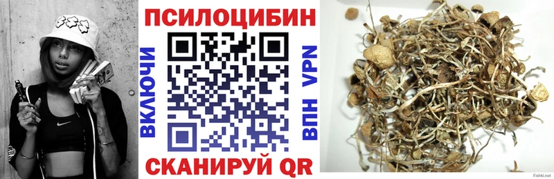 Галлюциногенные грибы MAGIC MUSHROOMS  OMG tor  Геленджик  купить наркотики сайты 