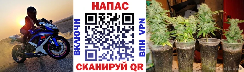 Конопля марихуана  Геленджик 